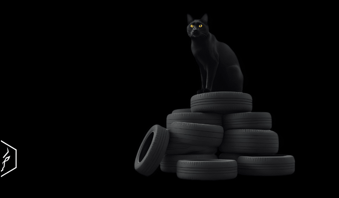 Promocja z Pazurem – dziękujemy, że razem pomogliśmy kotom!